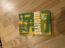 Billede af bogen Statistik i økonomisk perspektiv