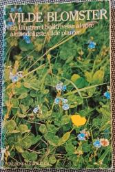 Billede af bogen Vilde blomster - en illustreret beskrivelse af vore almindeligste vilde planter