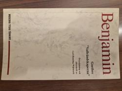 Billede af bogen Goethes 