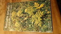 Billede af bogen Kasuutta tamatta Billede af bogen Kasuutta tamatta