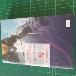 Billede af bogen Flaget fra himlen