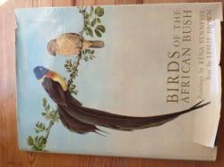 Billede af bogen Birds of the African Bush