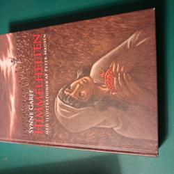 Billede af bogen Himmelhelten