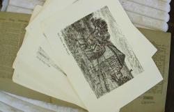 Billede af bogen Hærvejen - Viborg - Danevirke Billede af bogen Hærvejen - Viborg - Danevirke