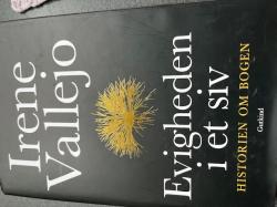 Billede af bogen Evigheden i et siv