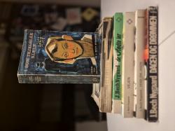 Billede af bogen Kamæleonen Billede af bogen Kamæleonen