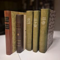 Billede af bogen Flyv varsomt engel