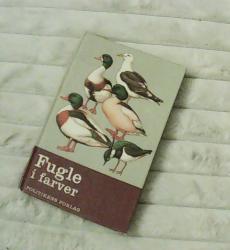 Billede af bogen Fugle i farver Billede af bogen Fugle i farver