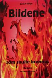 Billede af bogen BILDENE som skulle brennes - roman Billede af bogen BILDENE som skulle brennes - roman