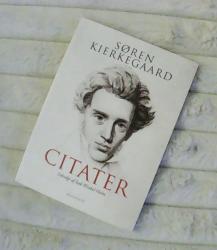 Billede af bogen Søren Kierkegaard i stykker