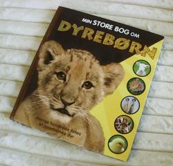 Billede af bogen Min store bog om dyrebørn