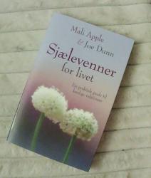 Billede af bogen Sjælevenner for livet Billede af bogen Sjælevenner for livet