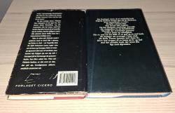 Billede af bogen Døren til december, Kold ild Billede af bogen Døren til december, Kold ild