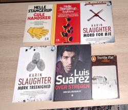 Billede af bogen Skagensmålerne i nordisk ljus