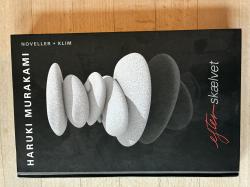 Billede af bogen Efter skælvet 