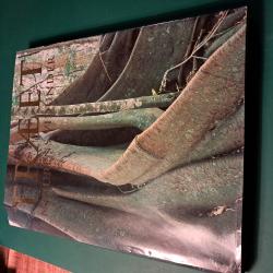 Billede af bogen TRÆET. Naturens vidunder Billede af bogen TRÆET. Naturens vidunder