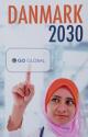 Billede af bogen Danmark 2030