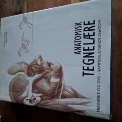 Billede af bogen Anatomisk tegnelære