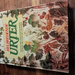 Billede af bogen Politikens bog om helbredende urter