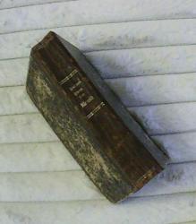 Billede af bogen Troens rare klenodie med svane-sang