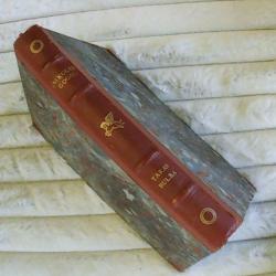 Billede af bogen Taras Bulba