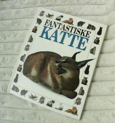 Billede af bogen Fantastiske katte