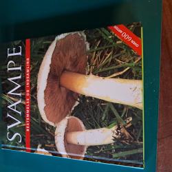 Billede af bogen Svampe