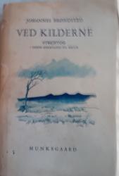 Billede af bogen Ved Kilderne. Strejftog i dansk Arkæologi og Natur