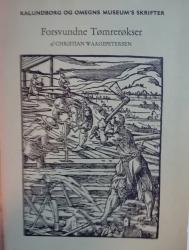 Billede af bogen Forsvundne tømrerøkser