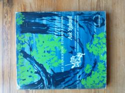 Billede af bogen Ask Ygdrasil - En gammel guddommelig historie