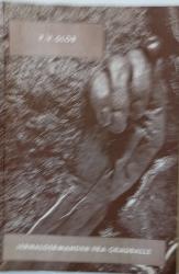 Billede af bogen  Jernaldermanden fra Grauballe