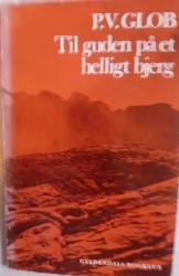 Billede af bogen Til guden på et helligt bjerg. Helleristninger på Monte 