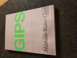 Billede af bogen Gips