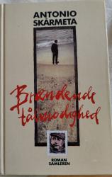 Billede af bogen Brændende tålmodighed Billede af bogen Brændende tålmodighed