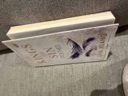 Billede af bogen Kings of sin stolthed 