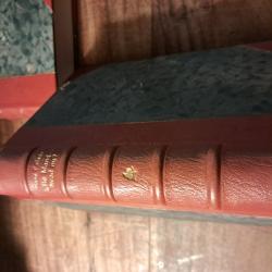 Billede af bogen Lille Mand - hvad nu?