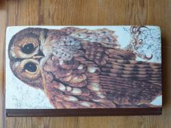 Billede af bogen Fugleliv i Danmark Billede af bogen Fugleliv i Danmark