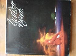 Billede af bogen Ballet Heute