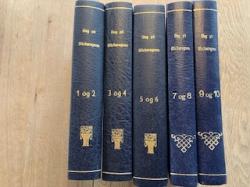 Billede af bogen Ung på Blicheregnen 1-10