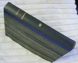 Billede af bogen Kvindelinier