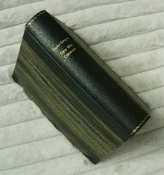 Billede af bogen Den lille dæmon