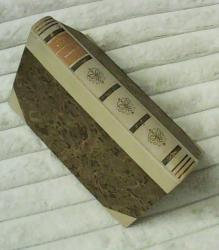 Billede af bogen Landsbyen