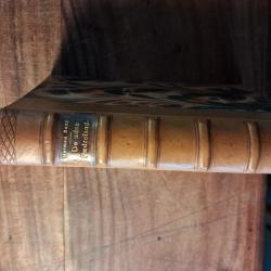 Billede af bogen De uden Fædreland Billede af bogen De uden Fædreland