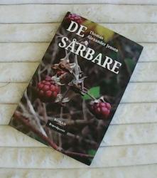 Billede af bogen De sårbare