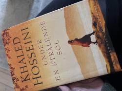 Billede af bogen Under en strålende sol