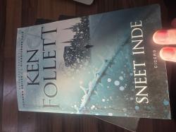 Billede af bogen Sneet inde