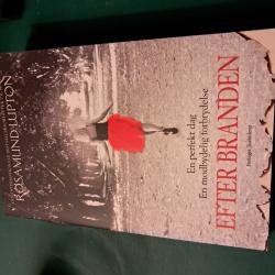 Billede af bogen Efter branden