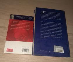 Billede af bogen I år bliver deet anderledes,  Nattens regn og stjerner