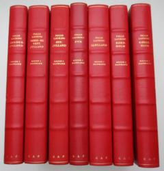 Billede af bogen Rejse i Danmark i 7 bind