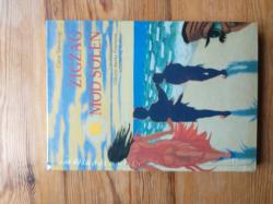 Billede af bogen Zigzag mod solen - Udviklingslinier i Vilhelm Bjerke Petersen billeder og skifter